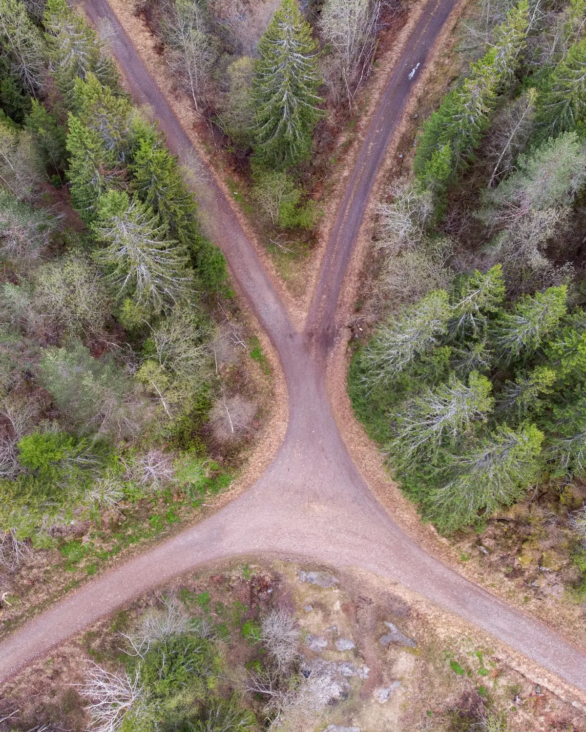 ViRe - Vida Regenerativa Vista aérea de uma estrada de terra que se divide em duas, cercada de floresta.